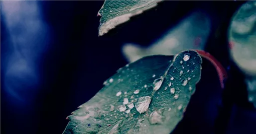 Доставка воды: питьевая вода \"Виста\" в офис и на дом по цене от 110 ...